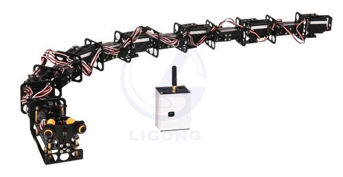 12自由度蛇形機器人